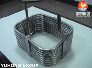 Heat-exchanger / Boiler tabung Acar / Bright Anil Permukaan Stainless Steel Seamless Tube ASME SA213 TP316 / 316L