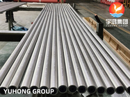 ASME SA213 TP347H STAINLESS STEEL PIKLING TABUNG SEAMLESS ANNEALED