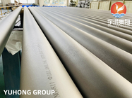 Solid Hot Finished Incoloy Pipe 8 &quot;SCH40S 6M Welded Alloy Steel Seamless Pipe B163 B407 N8800 N8810