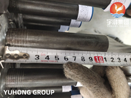 Tipe L Fenned Tube ASTM A179 Carbon Steel Seamless Tube Radiant Heat Fenned Tube