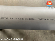 ASTM A312 UNS S31254, 254SMO Duplex Stainless Steel Seamless Pipe Untuk Oil And Gas Plant