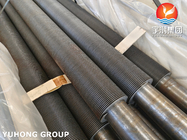 ASTM A106 GR.B Carbon Steel Hfw Fin Tube untuk Pertukang Panas dan Boiler