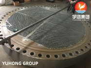 Stainless Steel Heat Exchanger Tube Sheet Baffle Plate A182/ F316/F316L AS PER DrawING ForgECD TUBE SHEET