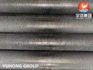ASTM A249 TP304 Stainless Steel Welded Tube dengan AL Fin HFW Solid Fined Tube