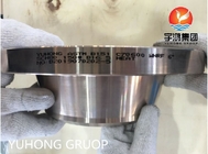 ASTM B151 C70600 Tembaga Nikel Alloy Forged Flange SCH80 CL150 Weld Neck Rising Face B16.5