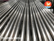 ASTM B163 Monel 400 / NO4400 / DIN 2.4360 Nikel Alloy Seamless Pipe