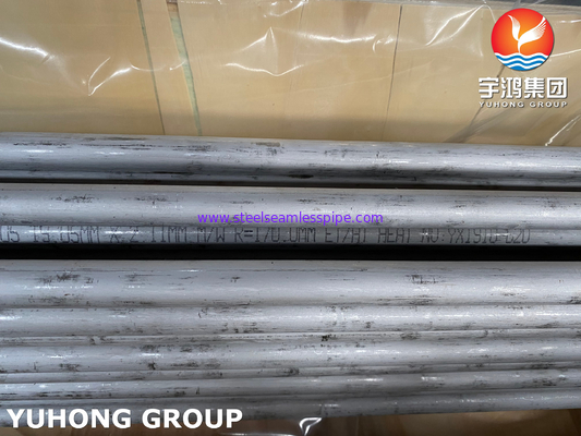 ASME SA789 SAF 2205 / UNS S32205 Penukar Panas Baja Dupleks U Bend Tube