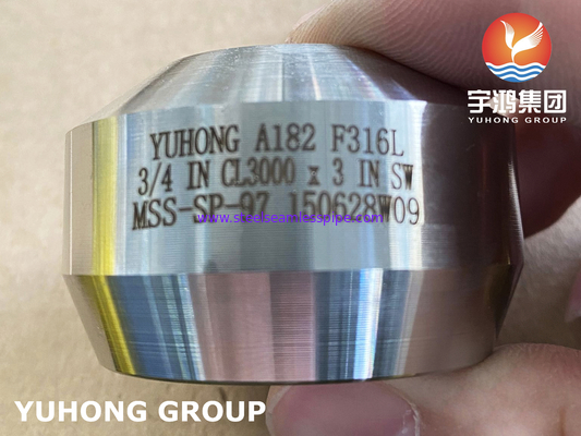 SS Weldolet A182 F316 / F316L Outlet Baja tahan karat Fittings tempa