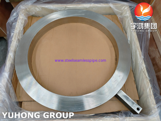 ASME SA182 F317L Ring Spacer Flang Paddle Spacer dari stainless steel tempa