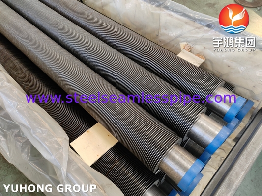 ASTM A106 Frekuensi Tinggi Welded Fin Tube Carbon Steel Soild Fin Tube Manufacturer