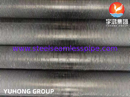 ASTM A269 TP304L Stainless Steel Extruded Fin Tube untuk Calderas