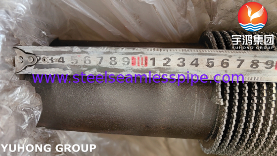 ASTM A335 Gr P9 Stainless Steel Alloy Serrated Fin Tube Untuk Tungku