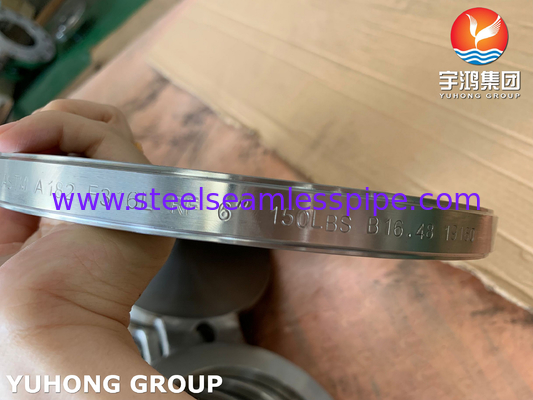 B16.48 ASTM A182 F316L Kacamata baja tahan karat Flange Blank Gambar-8