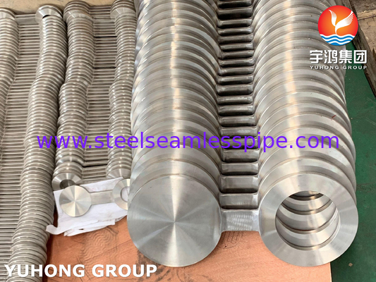 B16.48 ASTM A182 F316L Kacamata baja tahan karat Flange Blank Gambar-8