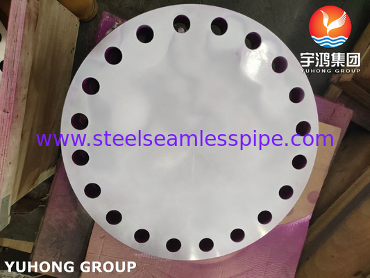 ASTM A182 F304/304L Blank B16.5 Flange yang Dipalsukan