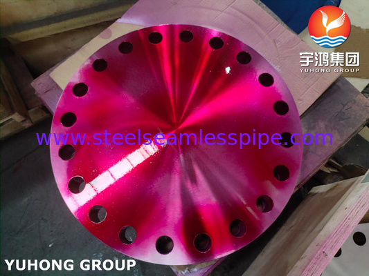 ASTM A182 F304/304L Blank B16.5 Flange yang Dipalsukan