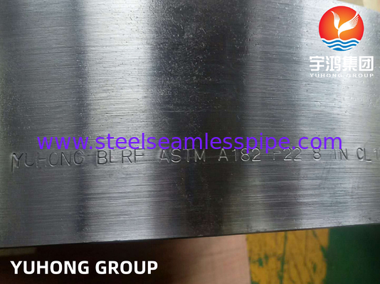 ASTM A182 F22 Baja Alloy Forged Blind Flange Raised Face B16.5