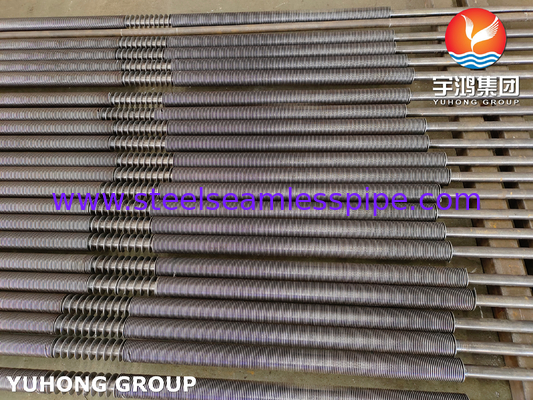 Pengelasan Frekuensi Tinggi ASTM A179 Baja Karbon U Bend Tubes Seamless untuk Economizer