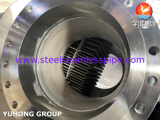 U Bend Tube Bundle, Stainless Steel U Tube Tipe Fuel Oil Heater