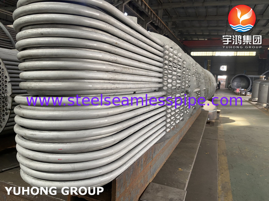 U Bend Tube Bundle, Stainless Steel U Tube Tipe Fuel Oil Heater