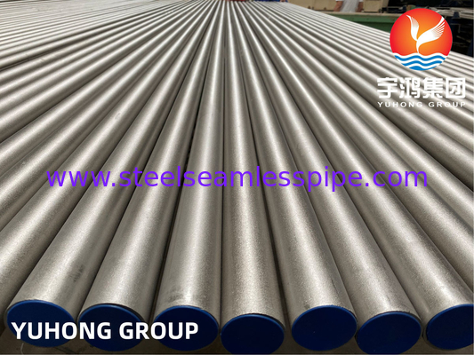 Boiler Tube Nickel Alloy ASTM B407 Alloy 800 800H 800HT untuk Tube bundle Aplikasi