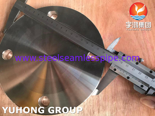 AS4087 F316L BIind FF Flanges baja tahan karat