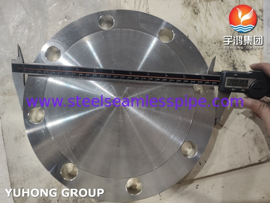 Flansa yang disalin dengan baik ASTM A182 F310 (1.4841)