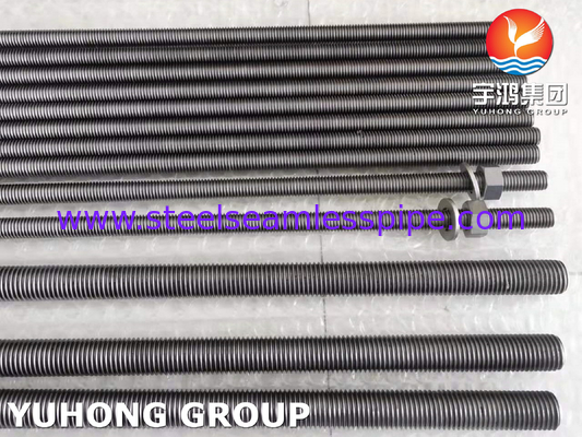 ASTM B348 Kelas 2 Titanium Nut Gasket