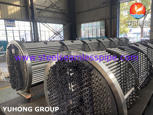 Bundel tabung penukar panas, tabung tanpa jahitan baja tahan karat ASME SA213 TP316L, Tubesheet SA350 LF2 CL1N
