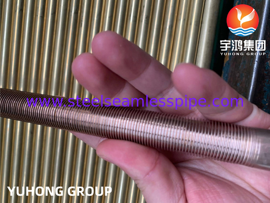 ASTM B111 C70600-O61 Tembaga Nikel Single Steel Low Fined Tube