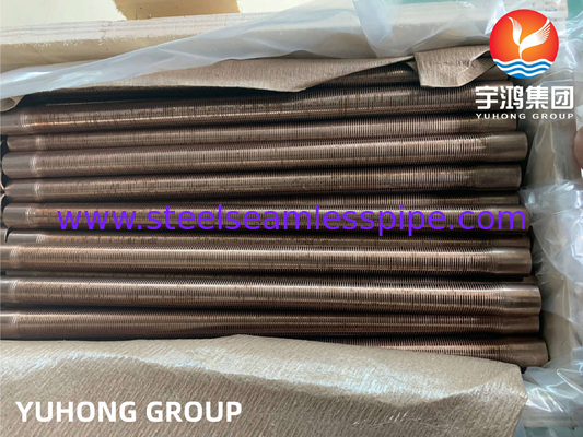 ASTM B111 C70600-O61 Tembaga Nikel Single Steel Low Fined Tube