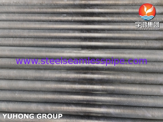 SA249 TP304 Stainless Steel Extruded Fin Tube Untuk Rice Mill Heat Exchanger