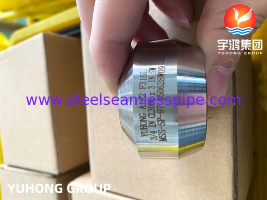 SS Weldolet A182 F316 / F316L Outlet Baja tahan karat Fittings tempa