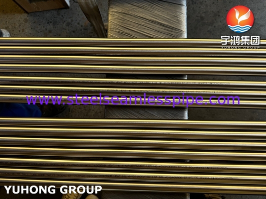 Cold Finished ASTM A269 TP304L Cerah Annealed Stainless Steel Seamless Tube
