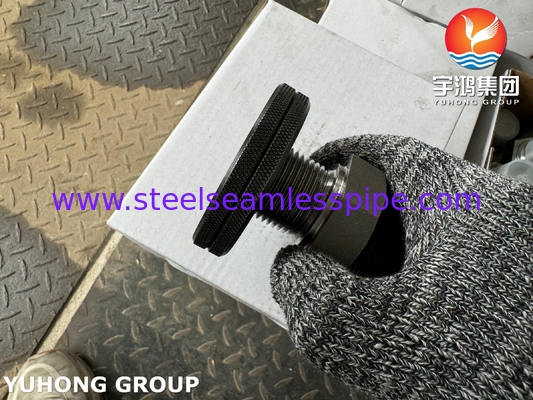 A105 Benang Fitting Steel Karbon Hex Head Plug ASTM A105 ASME B16.11