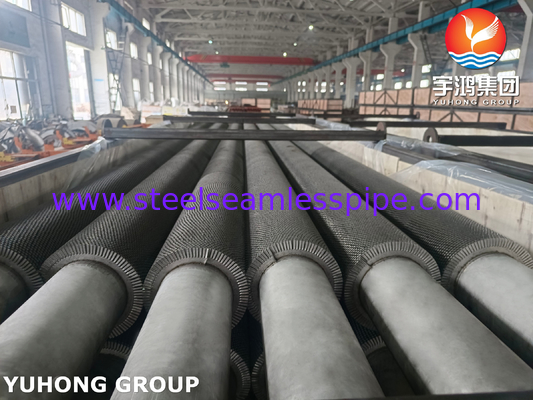 TP304H HFW Fin Tube Serrated Type ASTM A312 Untuk HRSG Heat Recovery Steam System