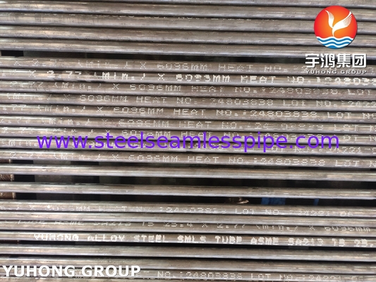 Stainless Steel Seamless Tubes Chromum-Molybdenum Stainless Steel A213 T5 Seamless Boiler Tube