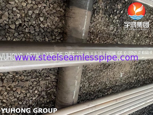 ASTM A335 / ASME SA335 P5 Pipa Tanpa Jalar Baja Alloy Untuk Layanan Suhu Tinggi
