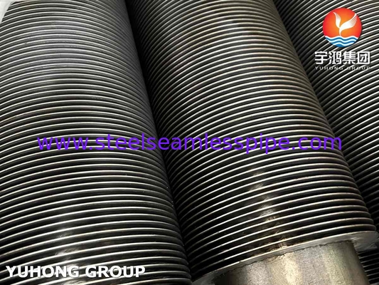 HFW ASTM A213 T9 Tube Seamless Alloy Steel Dengan Aplikasi 11Cr Convection Tube Coil
