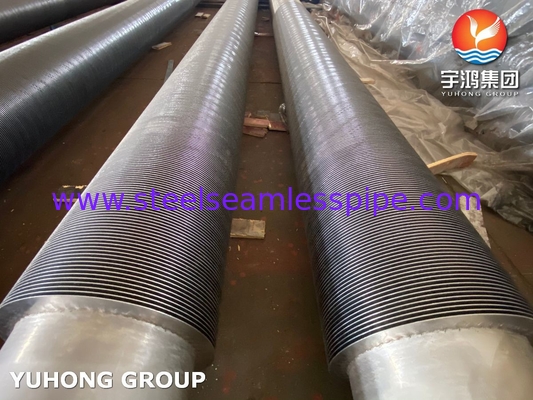 Baja paduan HFW frekuensi tinggi dilas solid fin tabung ASME SA213 T5 T9 T11 T12 Boiler Condenser Heater Aplikasi
