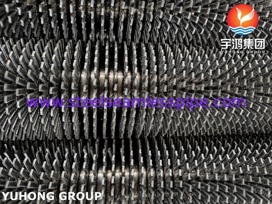 ASTM A335 P22 Ferritic Alloy Steel High Frequency Welding Fin Tube Untuk Transfer Panas