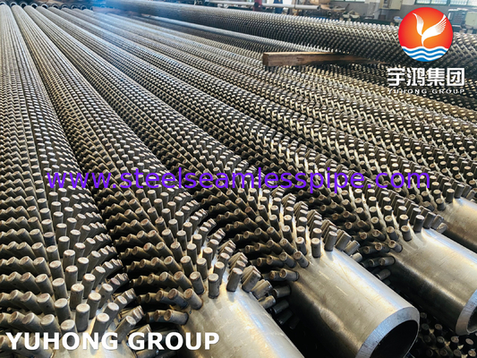 High Quality ASTM A312 TP316L Studded Tube Untuk Tungku dan Pabrik Baja