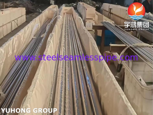 EN10305-1 Tabung Kapileri Presisi Cahaya Annealed Stainless Steel Seamless Tubing A269 TP304 TP316L