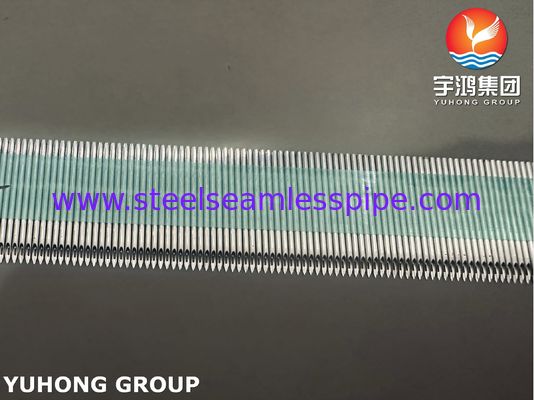 SUS304 Medical Stainless Steel Back Eye AV Fistula Needle Tube Untuk Hemodialisis