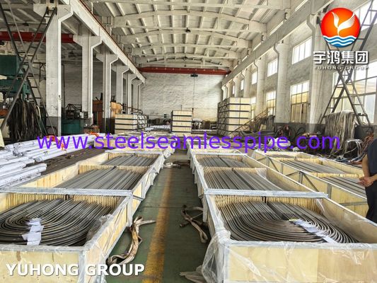 Penukar Panas Baja Tahan Karat Tabung U Bend A213/SA213 TP304L Annealed Terang BA Seamless Grade TP304L / UNS S30403