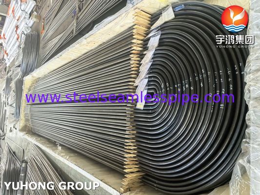 Penukar Panas Baja Tahan Karat Tabung U Bend A213/SA213 TP304L Annealed Terang BA Seamless Grade TP304L / UNS S30403
