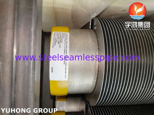 ASTM A376 TP347H Solid Spiral High Frequency weld HFW Fin Tube Dengan 11Cr