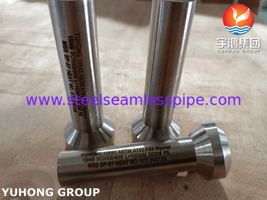 ASTM A182 F53 Super Duplex Steel 2507 Fitting Nipolet MSS SP-97