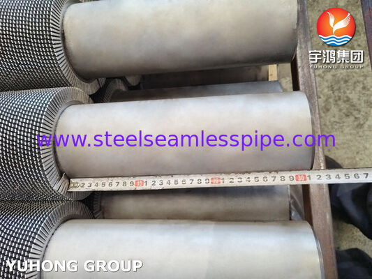 ASTM A312 TP304H tabung berdaun bergerigi untuk boiler & penukar panas