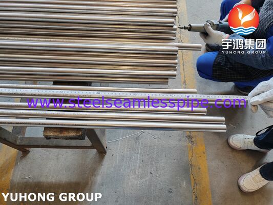 Cahaya Annealed ASTM A249 TP316L Stainless Steel Welded Tube Untuk Industri Diary